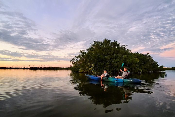 Thousand Islands Mangrove Tunnel Sunset Kayak Tour with Cocoa Kayaking! - Photo 1 of 25